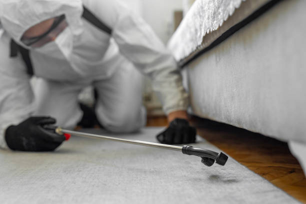 Professional Fumigation Services technician working in Saint John's University, MN