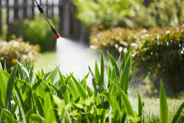 24/7 Emergency Fumigation Services experts in Saint John's University, MN