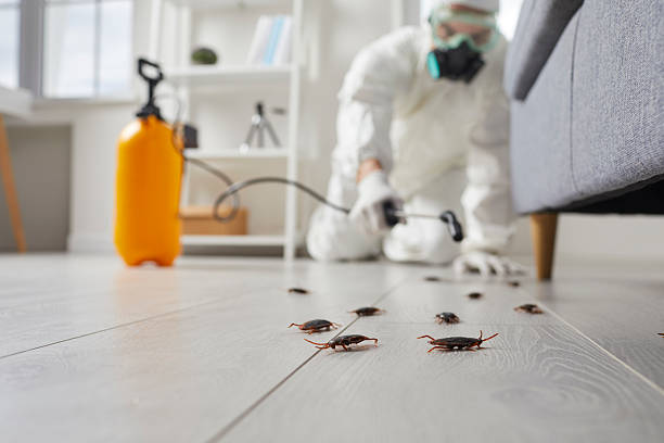 Trusted Bed Bug Control service in Saint John's University, MN - Nex Pest Control