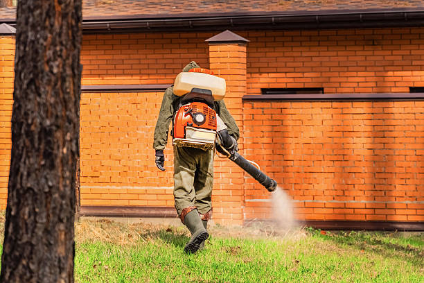 Trusted Cockroach Control service in Saint John's University, MN - Nex Pest Control
